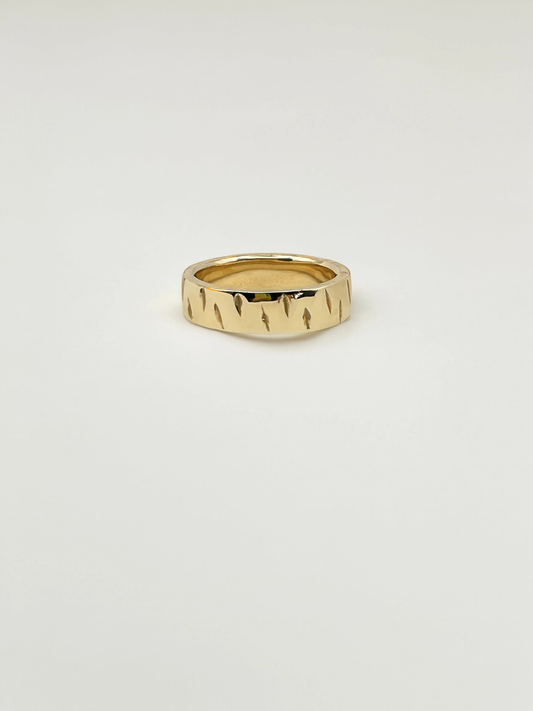 Bengal ring (v2)
